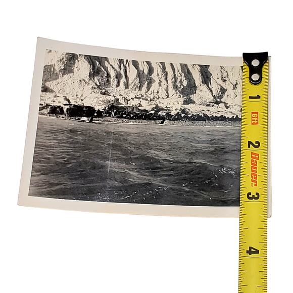 Vtg B&W Photo 1940s Found Seal Island Seals on Rocks Ocean Snapshot Animalcore - Picture 3 of 4
